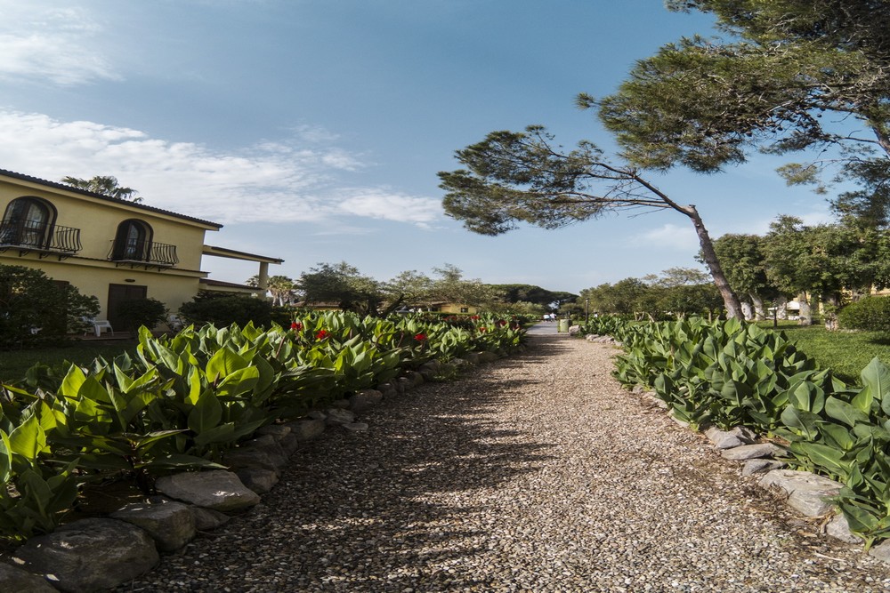 Horse Country Resort